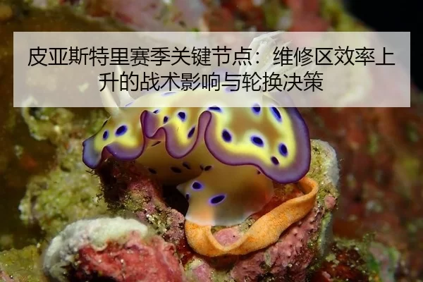 pi-ya-si-te-li-sai-ji-guan-jian-jie-dian-wei-xiu-qu-xiao-lv-shang-sheng-de-zhan-shu-ying-xiang-yu-lun-huan-jue-ce-2-151.jpg